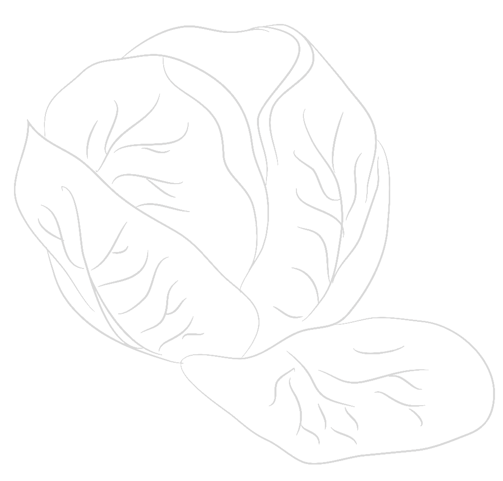 cabbage